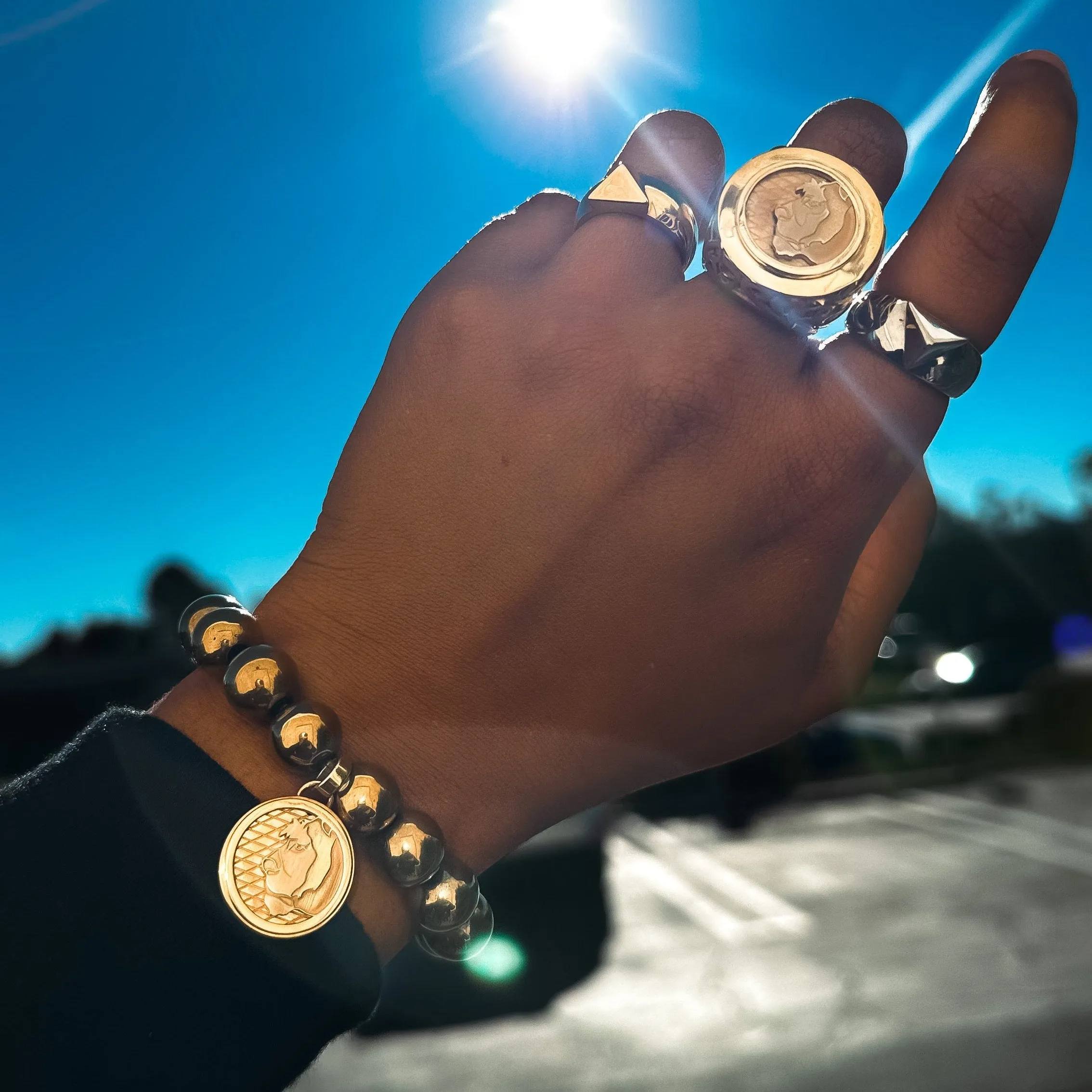 Lioness Coin Ring, Plated