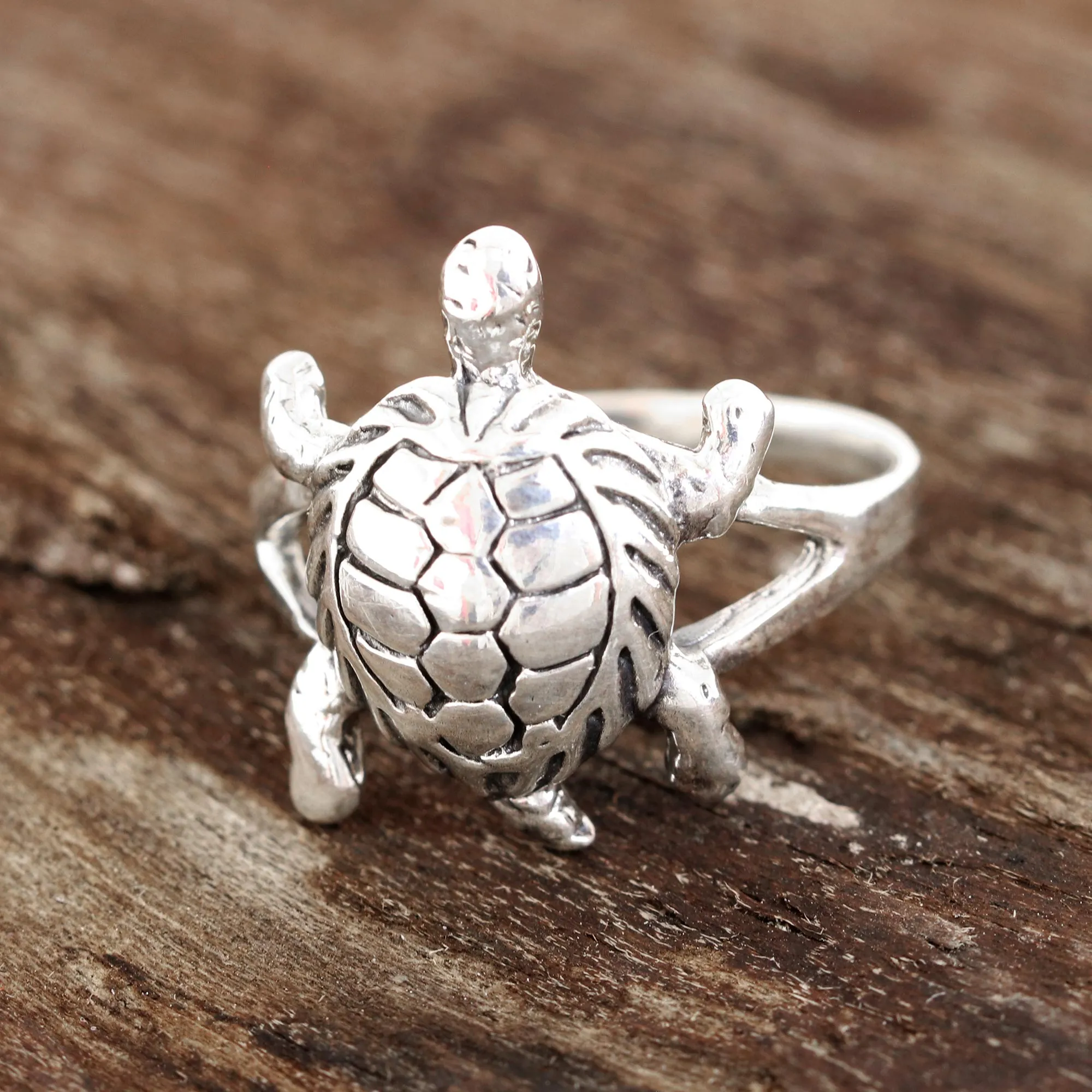 Sterling Silver Turtle Cocktail Ring from india - Fascinating Turtle | NOVICA